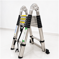 Thang Inox Rút Đôi Chống Trượt NIKITA NKT-IDA30-500