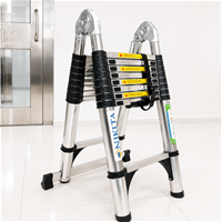 Thang Inox Rút Đôi Chống Trượt NIKITA STA30-560
